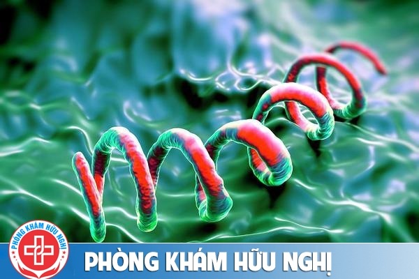 Bệnh giang mai – Có khả năng gây tử vong cao