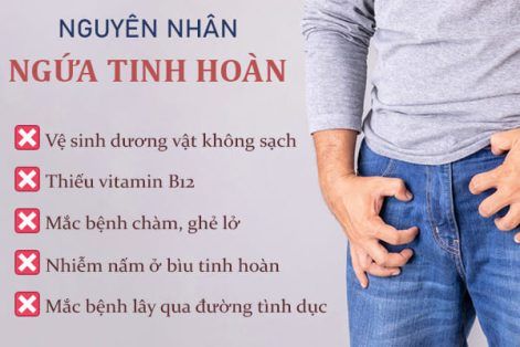 Nam giới có thể chưa biết các kiến thức về những cơn ngứa tinh hoàn