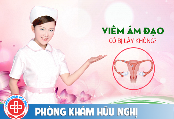 Hỗ trợ chữa viêm âm đạo như thế nào hiệu quả?