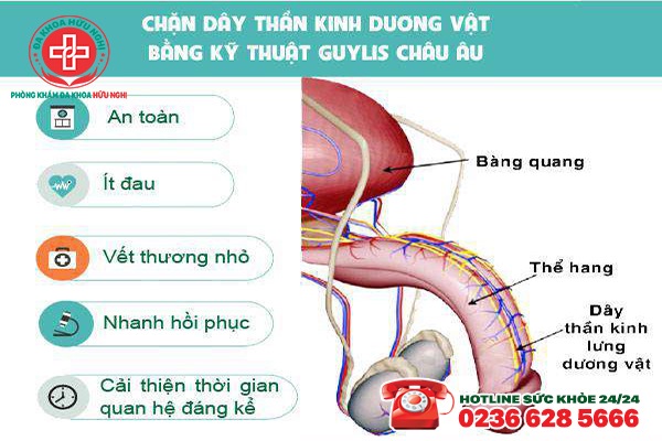 Phương pháp hỗ trợ chữa yếu sinh lý an toàn, hiệu quả