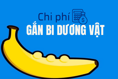 Giá tiền gắn bi dương vật hiệu quả