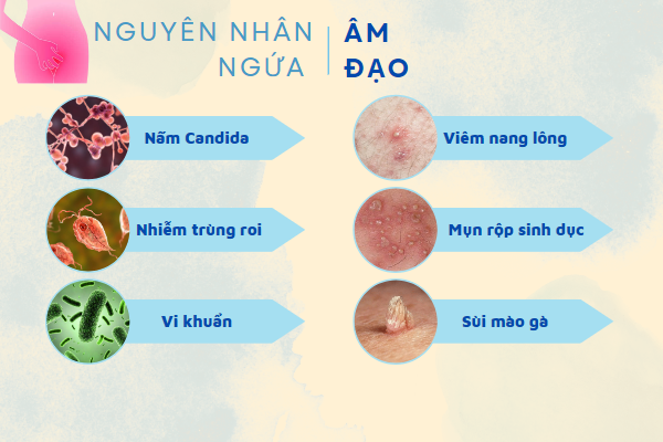 ngua-am-dao-dau-hieu-cua-benh-ly-nguy-hiem-chi-em-can-biet-01