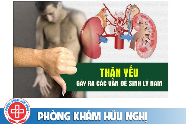 Nguyên nhân thận yếu là gì?