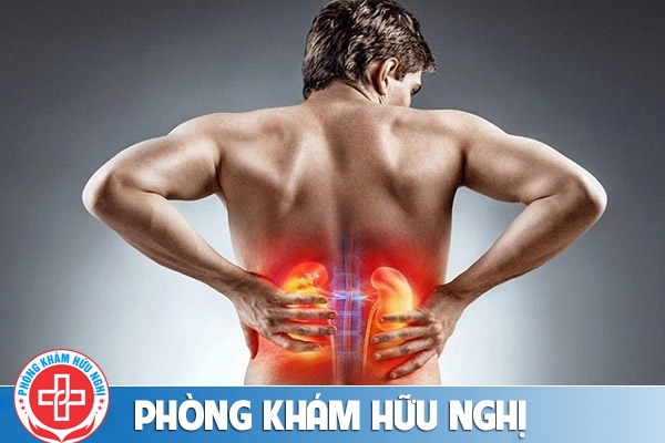 Tác hại thận yếu và cách chữa trị hiệu quả