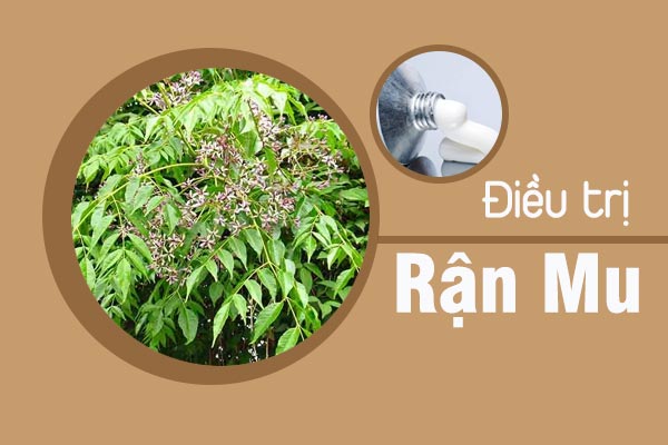 Đâu là biện pháp điều trị rận mu hiệu quả?