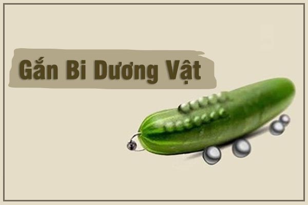 Tổng hợp những điều cần biết về gắn bi dương vật