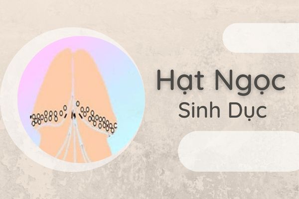 Hiểu đúng về hạt ngọc sinh dục 