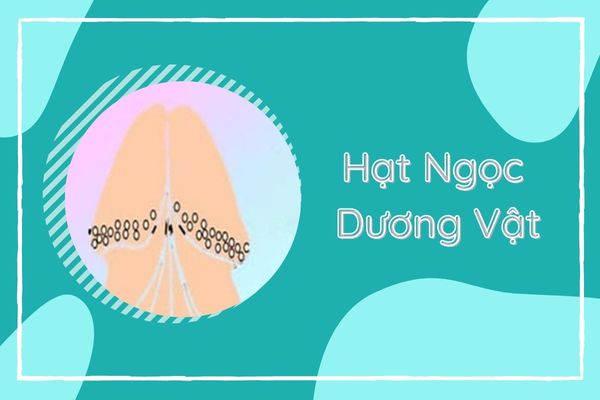 Tìm hiểu về hạt ngọc dương vật và cách điều trị hiệu quả