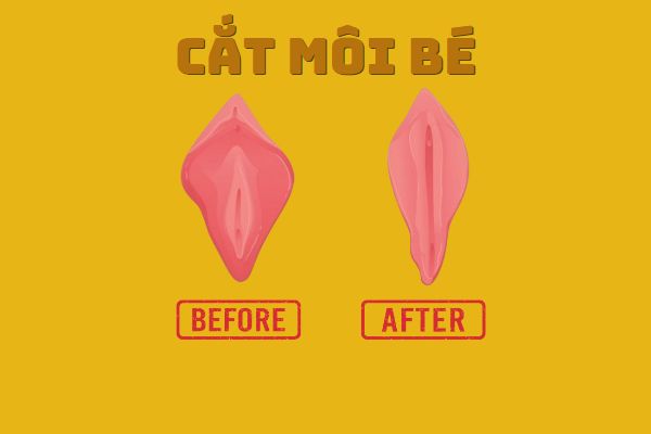cat-moi-be-co-anh-huong-khong-va-lam-the-nao-moi-an-toan-1