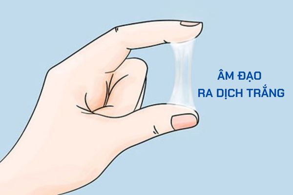 Giải đáp tại sao âm đạo ra dịch trắng?
