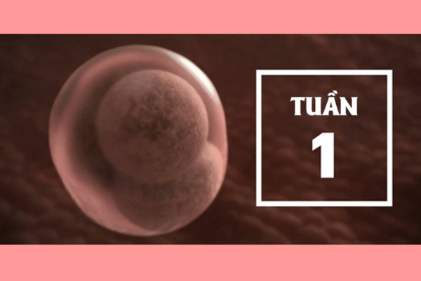 cach-nao-pha-thai-1-tuan-an-toan-va-chi-phi-ra-sao-1