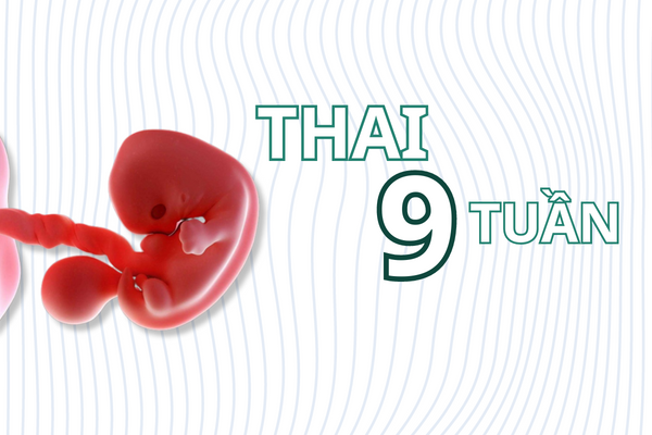 lieu-pha-thai-9-tuan-co-nguy-hiem-khong-1
