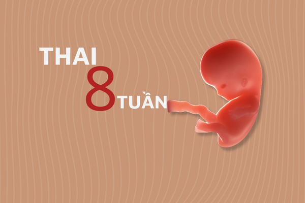 quyet-dinh-pha-thai-8-tuan-co-an-toan-khong-1