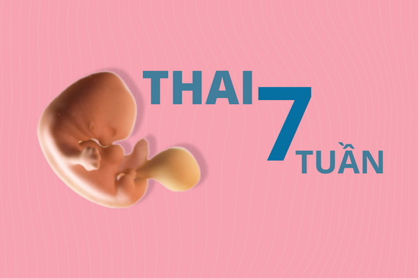 thong-tin-can-biet-khi-pha-thai-7-tuan-1