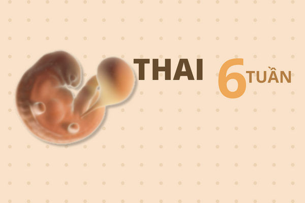 thuc-hien-pha-thai-6-tuan-duoc-khong-1