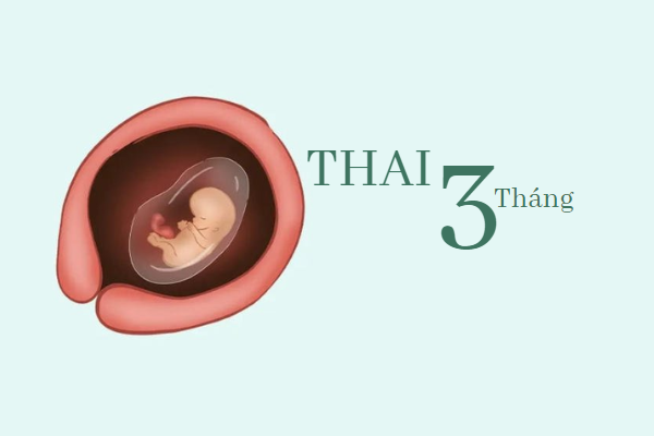 pha-thai-3-thang-con-an-toan-khong-1