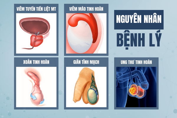 dau-1-ben-tinh-hoan-canh-bao-nguy-hiem-1