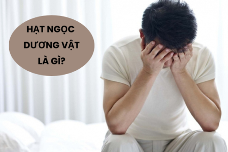Cách chữa hạt ngọc dương vật hiệu quả